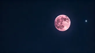 April's 2026 Pink Moon: Witness Peak Brightness and Celestial Pairings