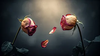 Related Stories banner