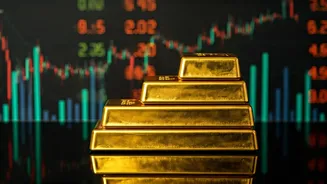 Q2 Earnings: Market Insights and Sector Performance