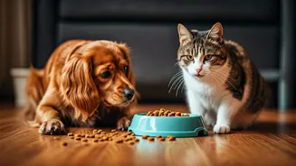 Vets Are Flagging Basic Pet Care Mistakes