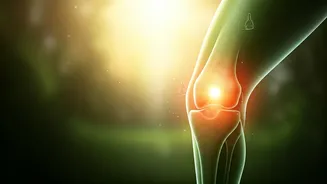 Related Stories banner