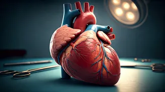 Medical Marvels: Heart Surgeon Saves Life, Partners for Surgery