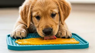 Why Active Puppies Love Chilled Pureed Pumpkin Mat Treats