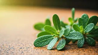 Related Stories banner