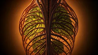 Heatwave's Silent Toll: 700,000 Annual Deaths Expected by 2050 from Heat-Induced Inactivity