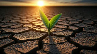 Rainfall Deficit Is Now A Money Story