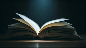 Chitrangda Singh: Dhurandhar’s Impact and Insights