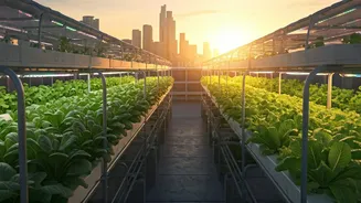 Why Green Careers In Urban Farming Appeal To Gen Z