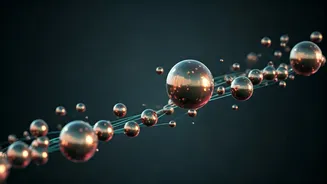 Indian Market Resilience: Retail Investors' Role