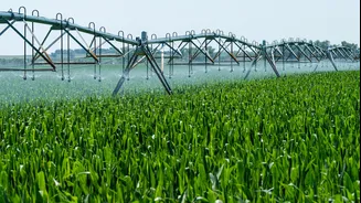 Artificial Intelligence Explored for Agricultural Drought Risk Reduction
