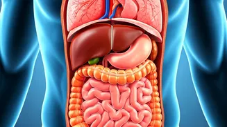 Water Fasting's Impact: What Happens After 3 Days?