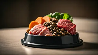 The Raw Pet Food Analysis: What Indian Dog Experts Say