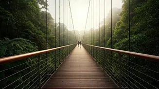 Cloud Walks Feel Like Walking Through The Sky