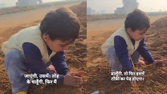 Little Girl's 'Toffee Tree' Dream Goes Viral; Internet Quips, 'Life Is Not That Simple' | VIDEO