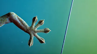 10 Mind-Blowing Animal Adaptations Reshaping Tech!