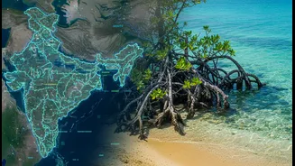 Satellite and Indigenous Coastal Knowledge Puts Community Evidence and Climate Planning in Focus for Coastal Communities and Researchers