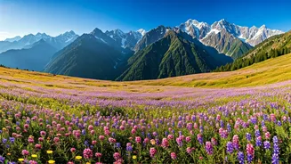 Uttarakhand Alpine Season Starts: Peak Bloom Expected Mid July