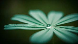 Breathwork Breaks Are Now Daily Routine Staples