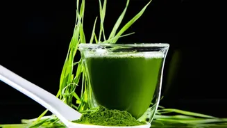 Meal-Replacement Myth: Liquid Meals Can Be Less Filling For Some People