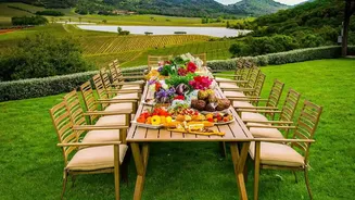 A Practical Guide to Garden Tea Party Hosting while Shading Guests Properly