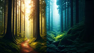 Optical Illusion Personality Test: Woman, Trees, or Both? Your First Glance Reveals Your Introvert/Extrovert Nature