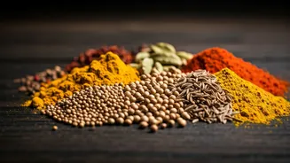 Indian Food Wonders: A Culinary Journey