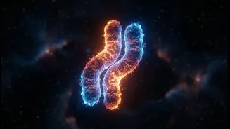 Long-Duration Missions Turn Mitochondria Into A Practical Survival Question
