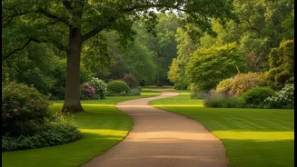 Green Spaces Can Support Social Exercise without a Formal Class