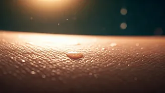 Humidity Is Tough On Your Skin Barrier