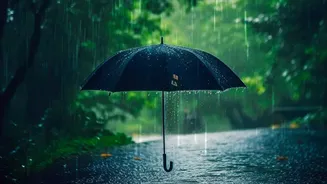 India's Monsoon May Lose Strength: What Consumers Should Know