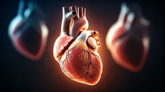 Related Stories banner