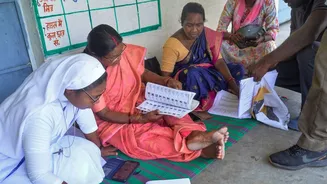 ‘No eligible voter left out’: Praise for Election Commission, SIR in Class 9 NCERT textbook