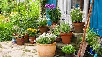 How to upgrade your garden flower pots