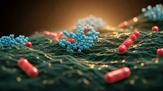 Diabetes Risk: Is Gut Health the Missing Link?