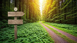 Feeling Lost? We Can Help You Find Your Way.