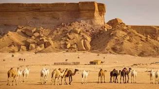 Saudi Arabia Pumps 7 Million Barrels Per Day Through East-West Pipeline Amid Hormuz Disruption