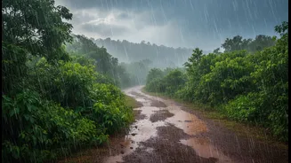 Nature, Mist And Rain Are Powering India's Latest Travel Trend