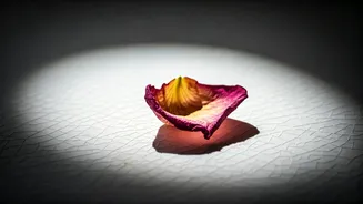 Related Stories banner