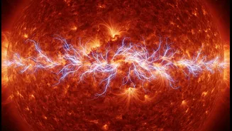 Magnetic fields are amplified and processed near this layer: why The Sun's Tachocline matters