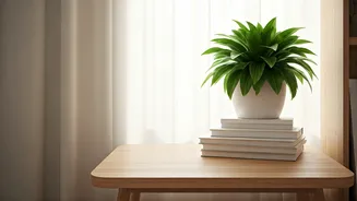 9 Simple Feng Shui Habits to Harmonize Your Space and Transform Your Life