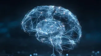 India's Cybersecurity Agency CERT-In Raises Questions About AI Testing On Public Networks