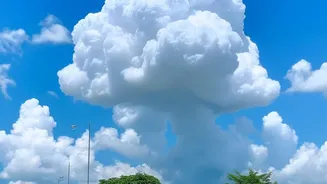 Pyrocumulonimbus Cloud May Be the First Recorded Over a French Wildfire