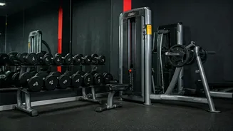Why Push Pull Legs Works For New Lifters