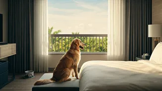 Pet-Friendly Holidays Are Becoming A Serious India Trend