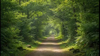 Green Space Can Change the Experience without Changing the Step Count