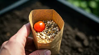 How To Source Premium Quality Starter Seeds For Pennies Today