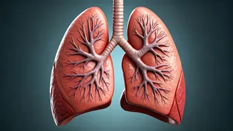 Foods That Are Bad For Your Lungs: Avoid Them