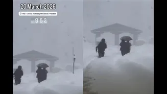 Travel Alert: Atal Tunnel Buried Under Snow Days After 1,000 Vehicles Got Stranded