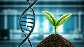 Navigating Life Post-Cancer: Essential Follow-Up for a Healthy Future