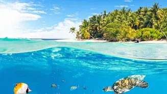 How Lakshadweep Island Administration Uses Sustainable Travel Guidelines To Protect Coastal Coral Reefs